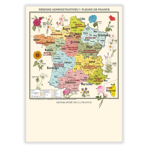 Affiche carte de France Vintage, fleurs et régions de France