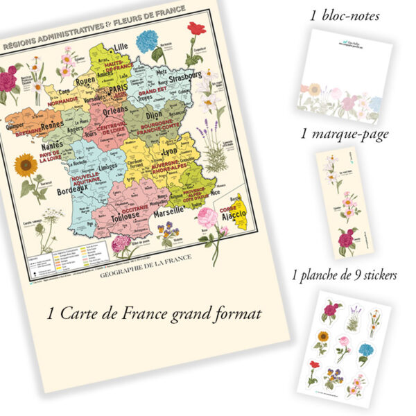 Carte de France Vintage - Régions administratives et fleurs de France - Affiche A1