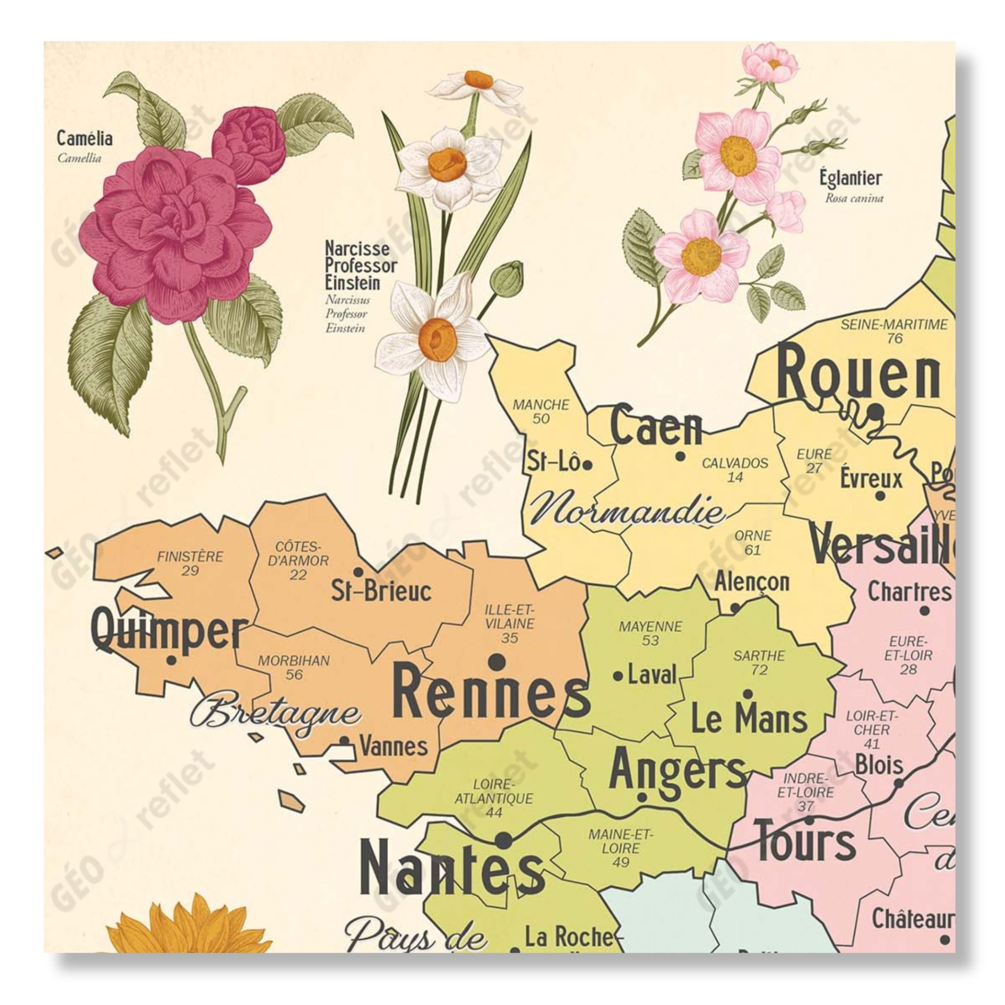 Carte de France Vintage, fleurs et régions de France - extrait