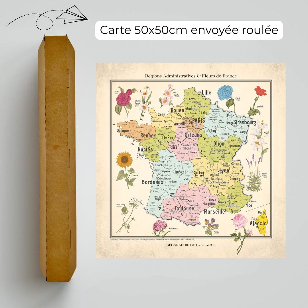 Carte de France Vintage, fleurs et régions de France - extrait