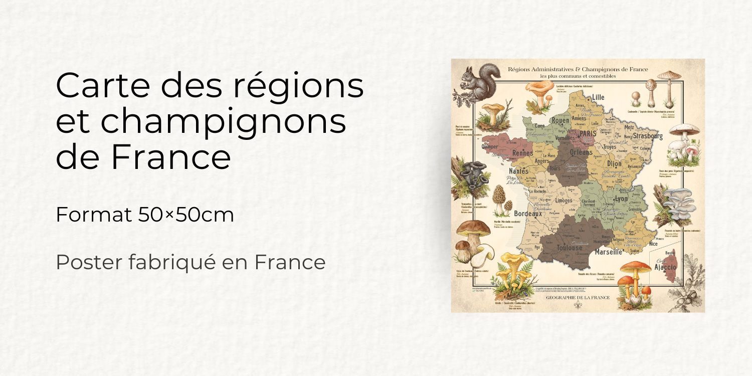 carte champignons